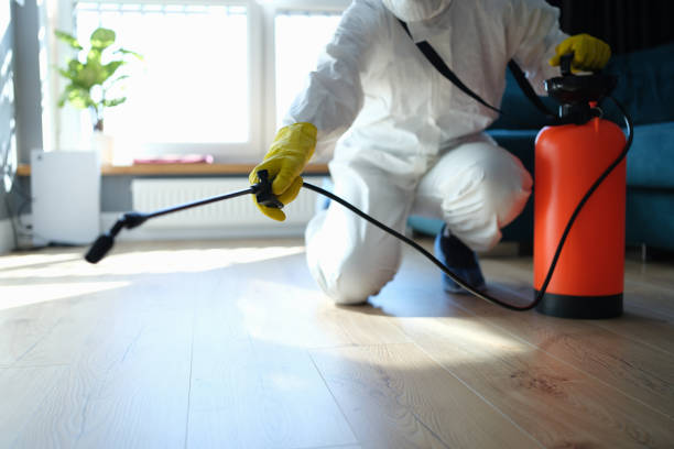 Disinfection of premises from insects and rodents with chemicals. Plumber spray on the background of apartment and pest control